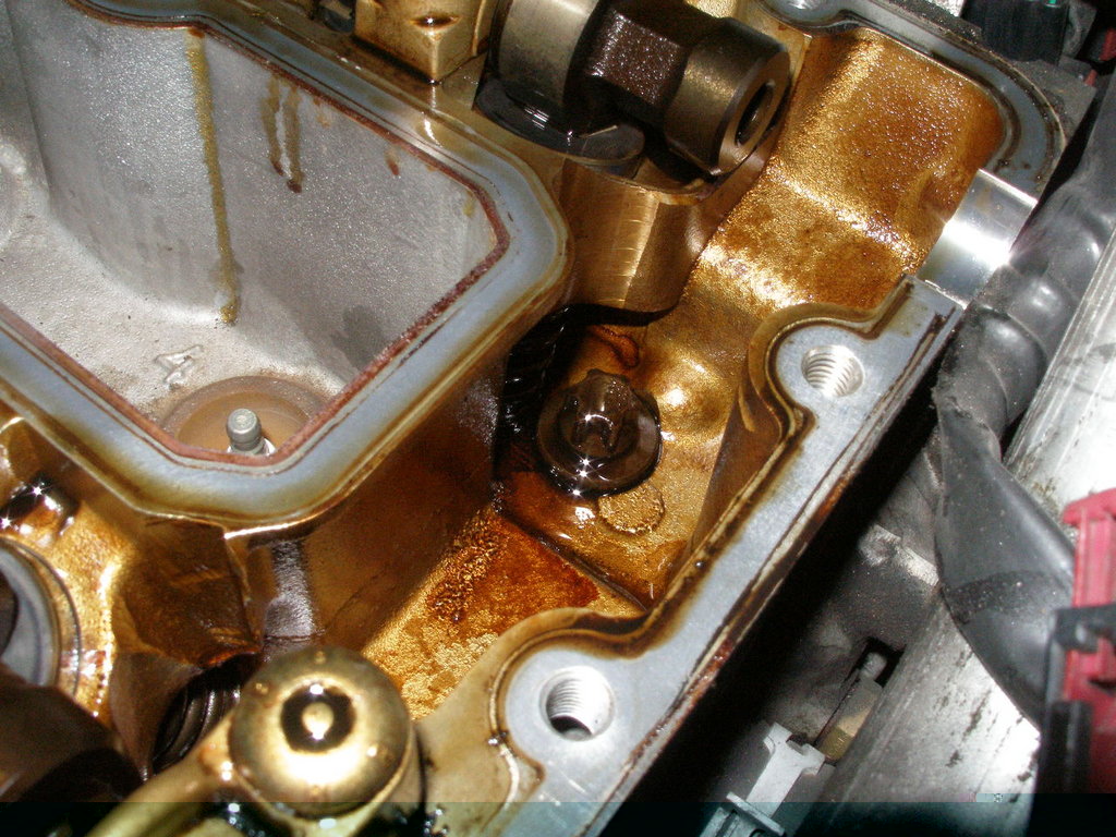 PB240015.JPG